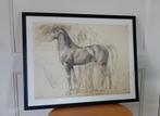 Print Paard van E.D. Begas, Ophalen of Verzenden
