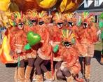 Carnavalspakken Leeuw Oranje - One Size, Hobby en Vrije tijd, Feestartikelen, Ophalen, Gebruikt, Kostuum, Carnaval