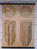 Oude schoolplaat biologie zeefvaten, Antiek en Kunst, Ophalen of Verzenden, Natuur en Biologie