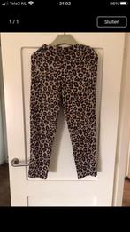 Broek Tijgerprint, Kleding | Dames, Gedragen, Lang, Maat 42/44 (L), Bruin