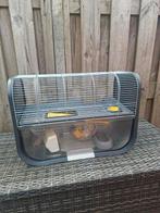 Hamsterkooi (knaagdierenkooi), Dieren en Toebehoren, Knaagdieren en Konijnen | Hokken en Kooien, Kooi, Gebruikt, Minder dan 75 cm