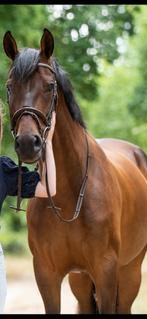 Lieve 6 jarige merrie, Dieren en Toebehoren, Paarden, Merrie, Springpaard, B, Gechipt