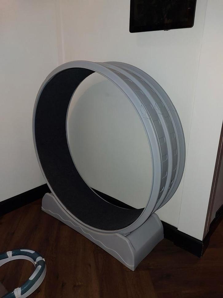 Looprad voor grote kat/kleine hond tot 15kg, Dieren en Toebehoren, Katten-accessoires, Zo goed als nieuw, Ophalen