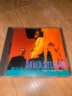 David Sylvian & Robert Fripp - The First Day CD, Ophalen of Verzenden, 1980 tot 2000, Gebruikt