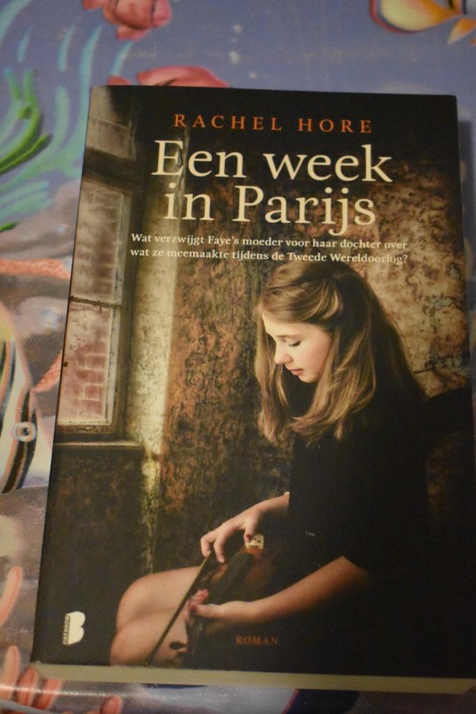 boek van Rachel Hore/een week in Parijs, Boeken, Romans, Zo goed als nieuw, Ophalen of Verzenden