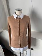 Manestrale CASHMERE camel doorknoop vest mt 36/38 zgan CHCS, Kleding | Dames, Beige, Ophalen of Verzenden, Zo goed als nieuw, Maat 36 (S)