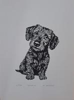 Linosnede, Verzenden