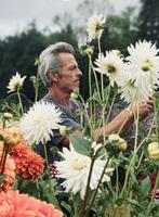 tuinman hovenier gezocht/ aangeboden, Tuinonderhoud of Snoeiwerk