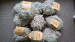 10 Bollen Katia Hippy Mix Wol, Ophalen of Verzenden, Zo goed als nieuw, Breien of Haken, Wol of Garen