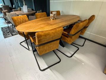 Armstoelen Silvia in ✨️Adore Gold✨️  beschikbaar voor biedingen