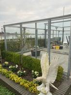 Glas - Windscherm, Tuin en Terras, Aluminium, Ophalen of Verzenden, Zo goed als nieuw, 200 cm of meer