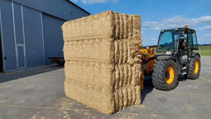 Spaans gehamerd tarwestro, Dieren en Toebehoren, Dierenvoeding, Overige soorten, Ophalen