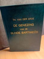 De Genezing van de Blinde Bartimeüs - Th. van der Groe, Ophalen of Verzenden