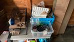 Hamsterhok met toebehoren, Gebruikt, Minder dan 75 cm, Ophalen, Minder dan 60 cm