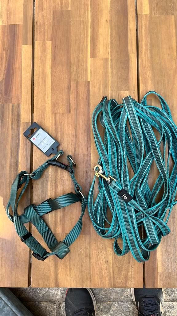 Lange lijn 10m en hondentuigje (borst) 40-70cm, Dieren en Toebehoren, Hondenriemen, Nieuw, Ophalen