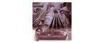 Steely Dan - The Royal Scam - LP, Verzenden, 2000 tot heden, Nieuw in verpakking, 12 inch