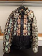 Roberto Cavalli Sport Snake Dragon Jas Maat M, Ophalen of Verzenden, Nieuw, Maat 48/50 (M), Roberto Cavalli