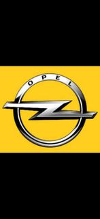 Opel obd diagnose resetten programmeren opcom, Ophalen, Nieuw, Opel