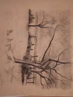 Tekening van Frans Boers - Landschap, Antiek en Kunst, Ophalen of Verzenden