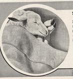 Retro advertentie 1939 Van Wijk Leiden wollen dekens lammetj, Verzenden, Overige typen
