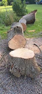 Essenhout stam haardhout, Tuin en Terras, Haardhout, Ophalen
