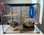 Mooi hamsterhok met toebehoren 59x39x47 cm, Dieren en Toebehoren, Minder dan 75 cm, Zo goed als nieuw, Hok, Ophalen