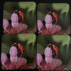 Foto cadeau, Ophalen of Verzenden, Nieuw