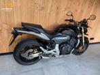 HONDA CB 600 F HORNET CB600 CB-600 CB600F CB600-F, Motoren, Motoren | Honda, 4 cilinders, Bedrijf, Meer dan 35 kW, 599 cc