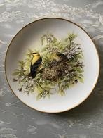 Marjolein Bastin Birds of Holland Golden Orioles, Antiek en Kunst, Antiek | Wandborden en Tegels, Ophalen of Verzenden