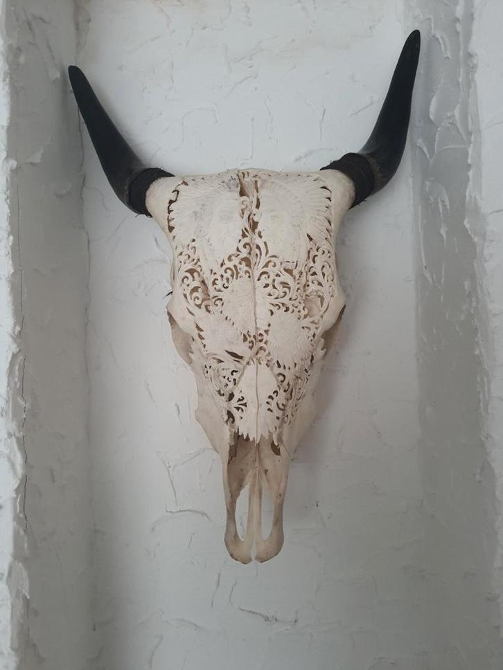 Balinees buffelschedel, Huis en Inrichting, Woonaccessoires | Wanddecoraties, Gebruikt, Ophalen of Verzenden