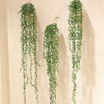 Kunst Vetplant / Nep Kunstplant Hangplant Erwtenplant, Verzenden, Nieuw