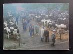 Ansichtkaart Koeien markt Veemarkt / boeren / 1991 / 26.84, Verzamelen, Ansichtkaarten | Dieren, Gelopen, Overige soorten, Ophalen of Verzenden
