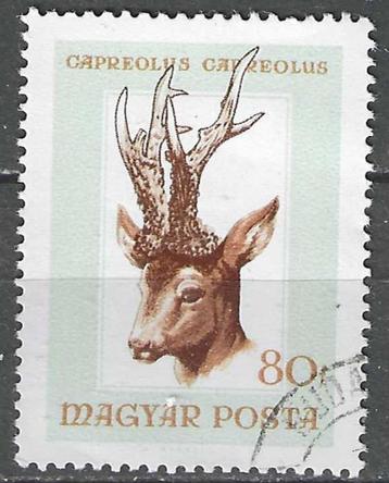 Hongarije 1966 - Yvert 1846 - Jachttrofeeen (ST) beschikbaar voor biedingen