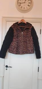Rainbow prachtige panterprint dames jas maat 46 zgan, Kleding | Dames, Jassen | Winter, Ophalen of Verzenden, Zo goed als nieuw