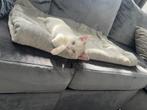 Kitten, Dieren en Toebehoren, Katten en Kittens | Raskatten | Korthaar, Poes, Ontwormd, 0 tot 2 jaar