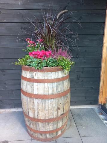 Eikenhouten Whiskeyvat 200 liter Bloembak Plantenbak  beschikbaar voor biedingen