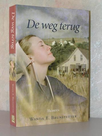 Wanda E. Brunstetter - De weg terug (christelijk Amish boek) beschikbaar voor biedingen