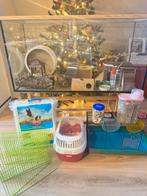 Hamster verblijf , terrarium , kooi, Kooi, Zo goed als nieuw, Hamster, 75 tot 110 cm
