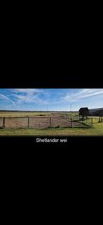 pensionstalling, Dieren en Toebehoren, Stalling en Weidegang, Stalling