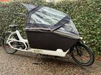 Urban Arrow performance elektrische bakfiets met riem, Fietsen en Brommers, Fietsen | Bakfietsen, Overige merken, 4 kinderen of meer