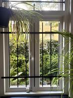 Simpel gesmeed venster/raam tralie hekwerk smeedijzer, Ophalen, Zo goed als nieuw, IJzer, Overige typen