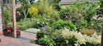 Tuinplanten, Ophalen, Overige soorten