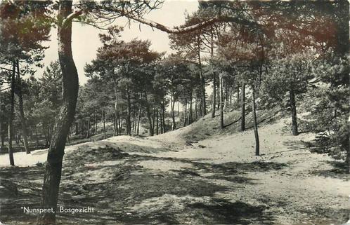 (387-126-047) Nunspeet Bosgezicht, Verzamelen, Ansichtkaarten | Nederland, Gelderland, Voor 1920, Verzenden