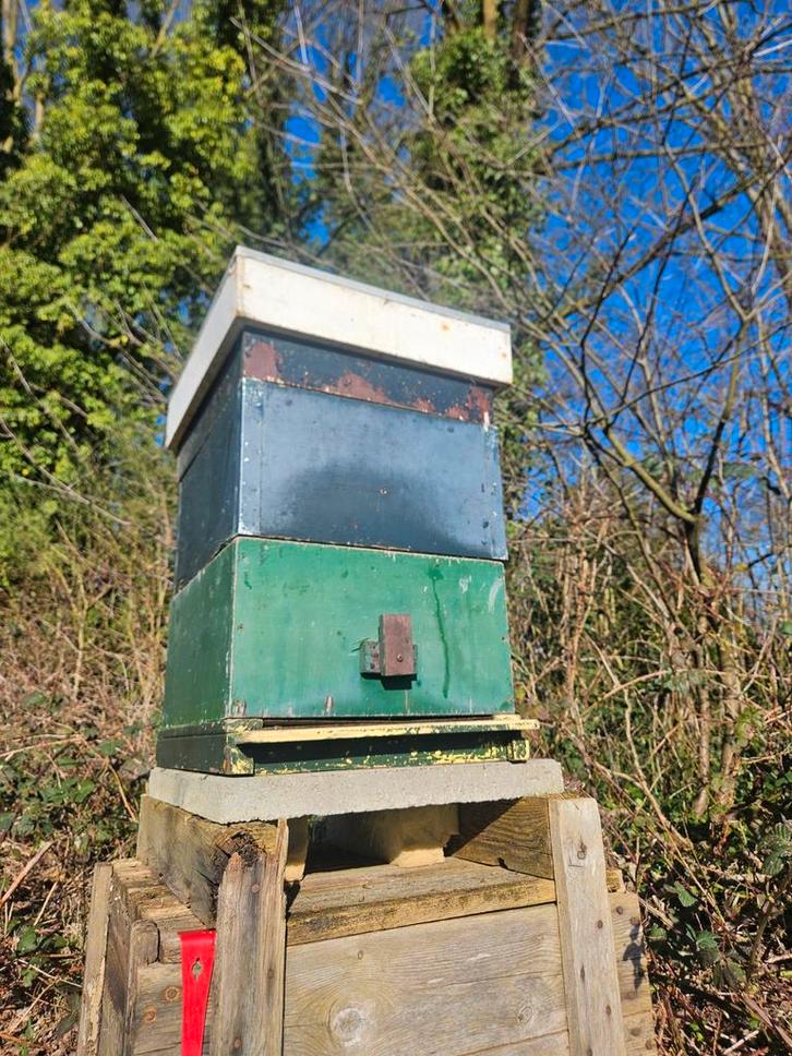 Bijenkasten plus imkerspullen, Tuin en Terras, Terrasdelen en Vlonders, Hout, Ophalen of Verzenden