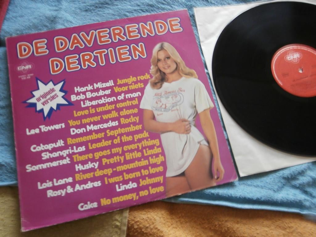 LP - De Daverende Dertien - Various Artists., Ophalen of Verzenden, Zo goed als nieuw, 12 inch, Pop