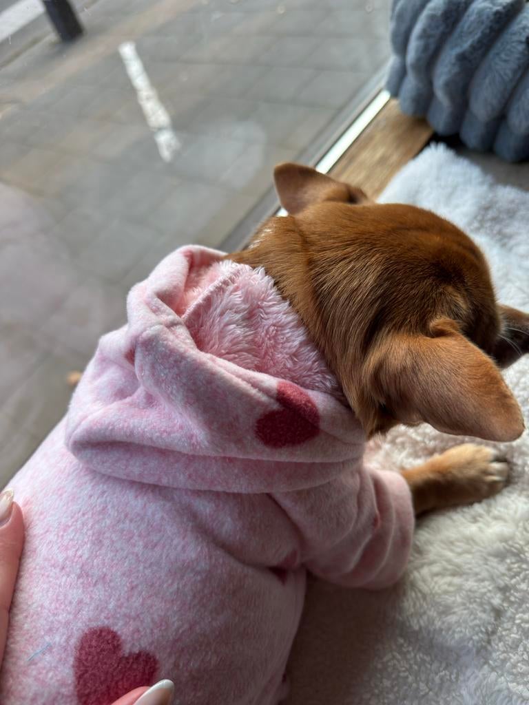 Luxe Valentijn Roze Hondenjas (M), Dieren en Toebehoren, Ophalen