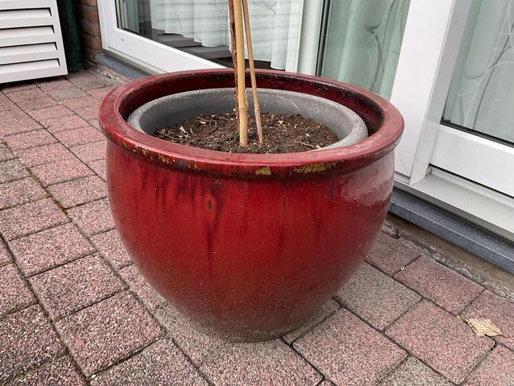 3 Bordeaux rode keramische bloembakken 40x40 cm, Tuin en Terras, Bloembakken en Plantenbakken, Gebruikt, Overige materialen, Binnen