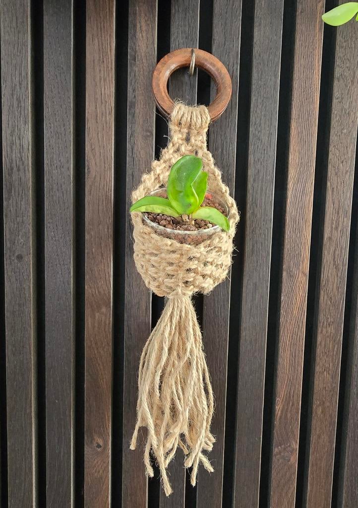 Jute plantenhanger, Ophalen of Verzenden
