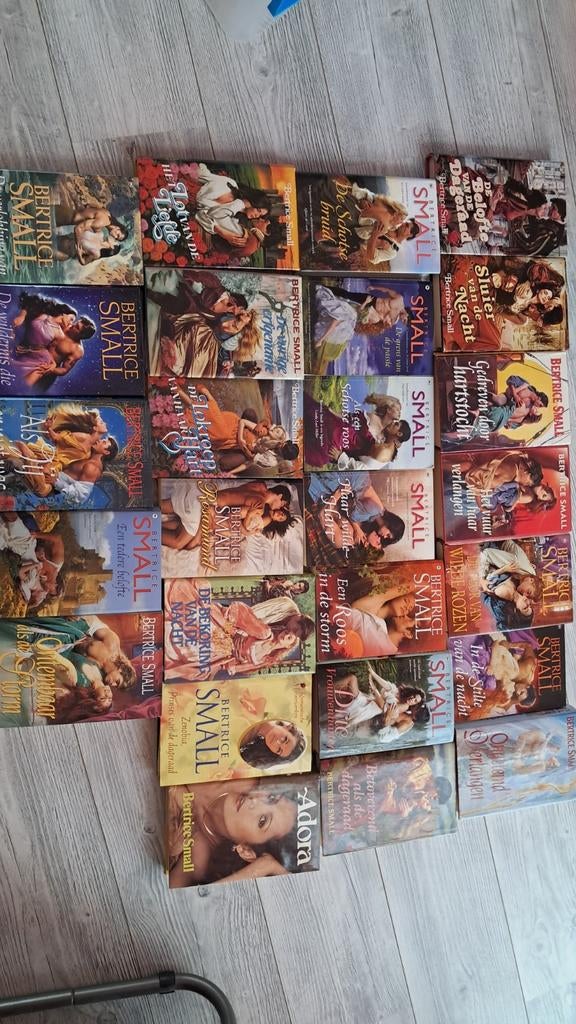 Complete serie van Bertrice Small, Boeken, Ophalen of Verzenden, Gelezen, Bertrice Small, Nederland