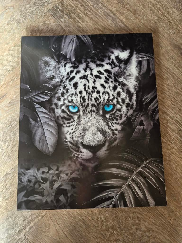 Houten Schilderij Panter met Opvallende Blauwe Ogen, Huis en Inrichting, Woonaccessoires | Schilderijen, Tekeningen en Foto's